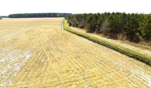 Photo #29 of Off Black Mingle Rd, Gates, NC 109.8 acres