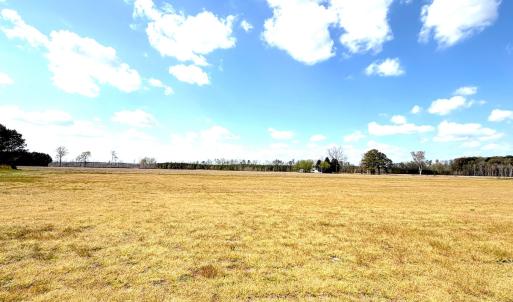 Photo #30 of Off Black Mingle Rd, Gates, NC 109.8 acres