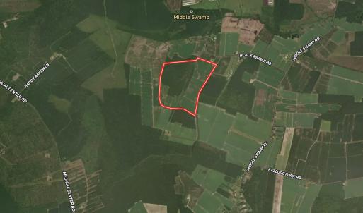 Photo #32 of Off Black Mingle Rd, Gates, NC 109.8 acres