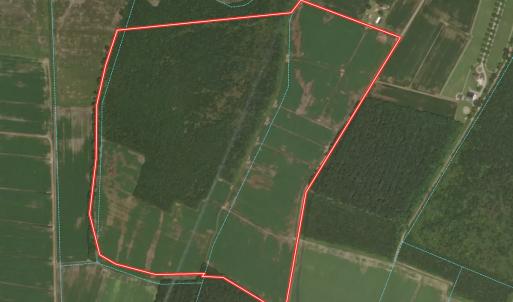 Photo #31 of Off Black Mingle Rd, Gates, NC 109.8 acres