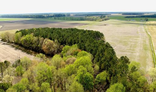 Photo #10 of Off Middle Swamp Rd, Gates, NC 32.2 acres