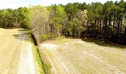 Photo #11 of Off Middle Swamp Rd, Gates, NC 32.2 acres