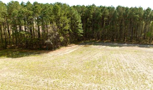 Photo #12 of Off Middle Swamp Rd, Gates, NC 32.2 acres