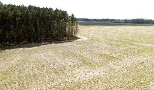 Photo #13 of Off Middle Swamp Rd, Gates, NC 32.2 acres