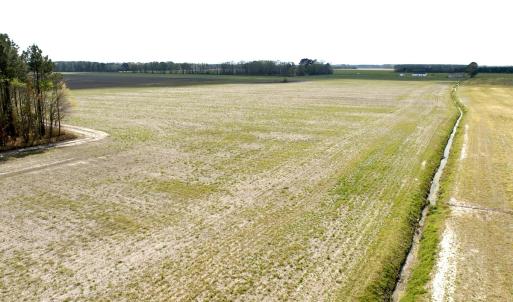 Photo #14 of Off Middle Swamp Rd, Gates, NC 32.2 acres