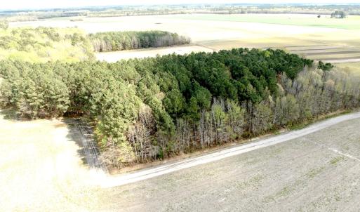 Photo #16 of Off Middle Swamp Rd, Gates, NC 32.2 acres