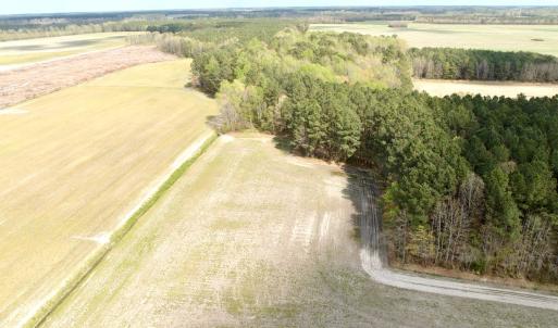 Photo #17 of Off Middle Swamp Rd, Gates, NC 32.2 acres