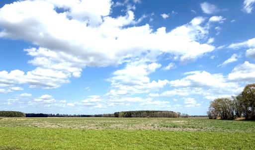 Photo #20 of Off Middle Swamp Rd, Gates, NC 32.2 acres