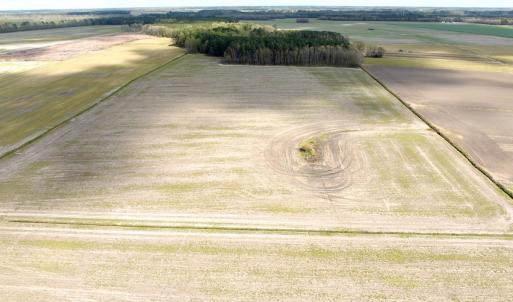 Photo #4 of Off Middle Swamp Rd, Gates, NC 32.2 acres