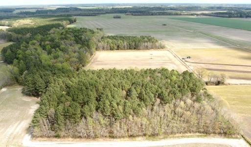 Photo #6 of Off Middle Swamp Rd, Gates, NC 32.2 acres