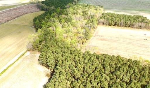 Photo #7 of Off Middle Swamp Rd, Gates, NC 32.2 acres