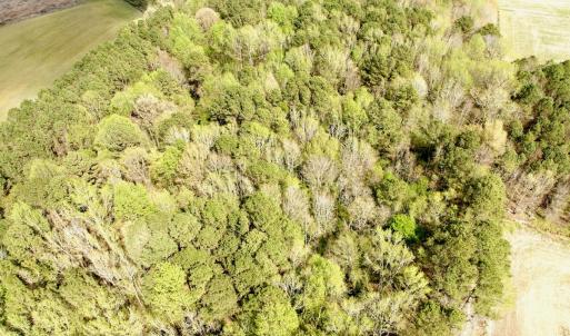 Photo #8 of Off Middle Swamp Rd, Gates, NC 32.2 acres