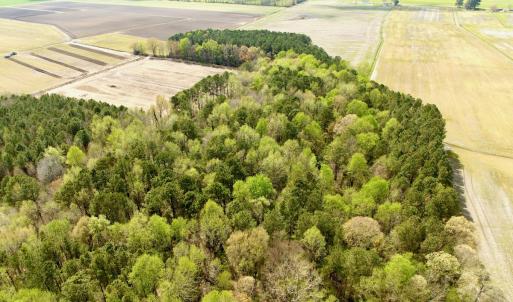 Photo #9 of Off Middle Swamp Rd, Gates, NC 32.2 acres