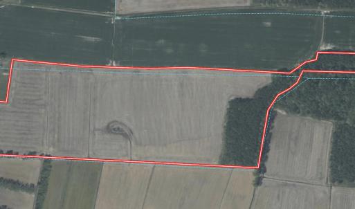 Photo #23 of Off Middle Swamp Rd, Gates, NC 32.2 acres