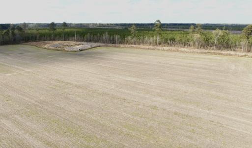 Photo #1 of Off Black Mingle Rd, Gates, NC 80.6 acres