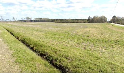 Photo #2 of Off Black Mingle Rd, Gates, NC 80.6 acres