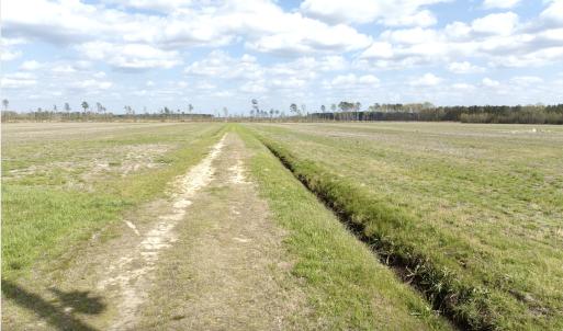 Photo #3 of Off Black Mingle Rd, Gates, NC 80.6 acres