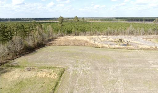 Photo #4 of Off Black Mingle Rd, Gates, NC 80.6 acres