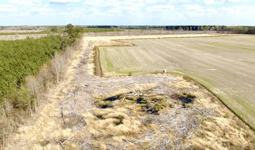 Photo #5 of Off Black Mingle Rd, Gates, NC 80.6 acres