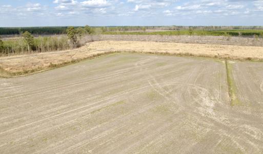 Photo #6 of Off Black Mingle Rd, Gates, NC 80.6 acres