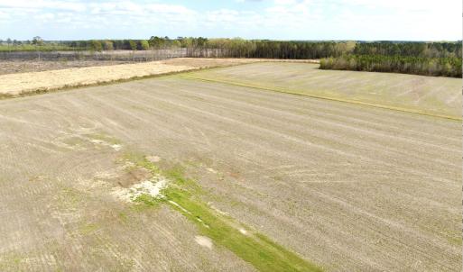 Photo #7 of Off Black Mingle Rd, Gates, NC 80.6 acres