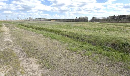 Photo #8 of Off Black Mingle Rd, Gates, NC 80.6 acres