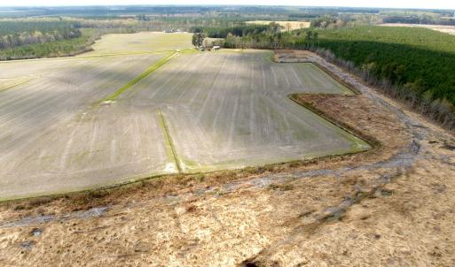 Photo #15 of Off Black Mingle Rd, Gates, NC 80.6 acres