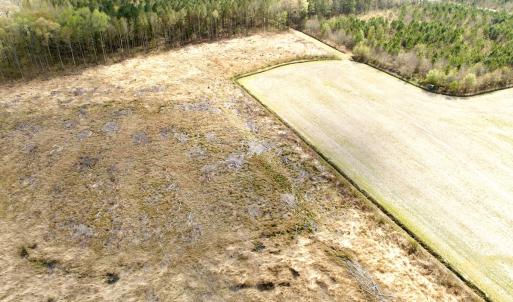 Photo #16 of Off Black Mingle Rd, Gates, NC 80.6 acres