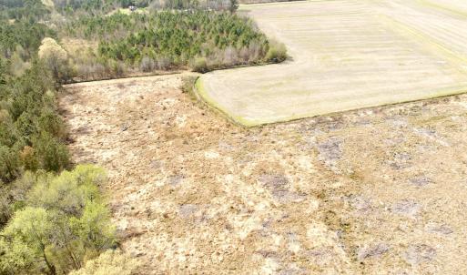 Photo #17 of Off Black Mingle Rd, Gates, NC 80.6 acres