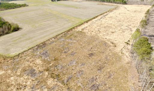 Photo #18 of Off Black Mingle Rd, Gates, NC 80.6 acres