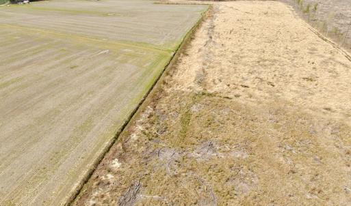 Photo #19 of Off Black Mingle Rd, Gates, NC 80.6 acres