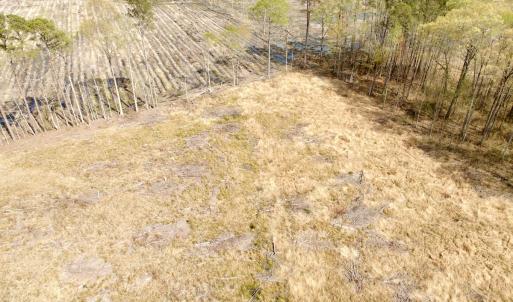 Photo #21 of Off Black Mingle Rd, Gates, NC 80.6 acres