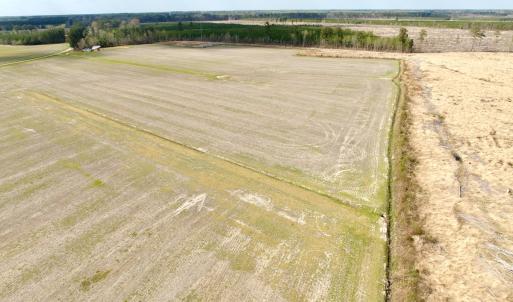 Photo #22 of Off Black Mingle Rd, Gates, NC 80.6 acres