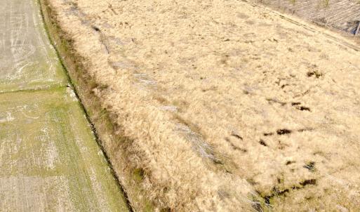 Photo #23 of Off Black Mingle Rd, Gates, NC 80.6 acres