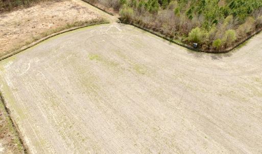 Photo #24 of Off Black Mingle Rd, Gates, NC 80.6 acres