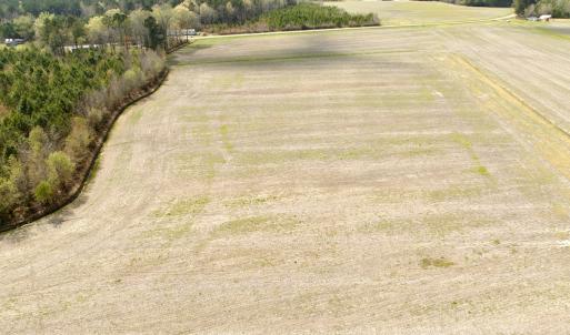 Photo #25 of Off Black Mingle Rd, Gates, NC 80.6 acres