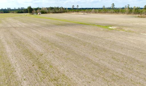 Photo #26 of Off Black Mingle Rd, Gates, NC 80.6 acres