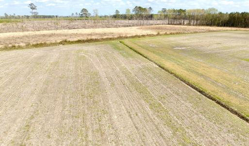 Photo #28 of Off Black Mingle Rd, Gates, NC 80.6 acres