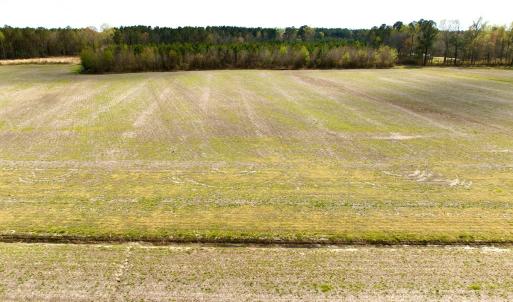 Photo #29 of Off Black Mingle Rd, Gates, NC 80.6 acres