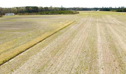 Photo #30 of Off Black Mingle Rd, Gates, NC 80.6 acres