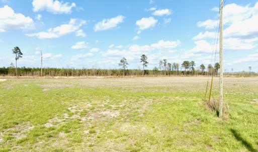 Photo #10 of Off Black Mingle Rd, Gates, NC 80.6 acres