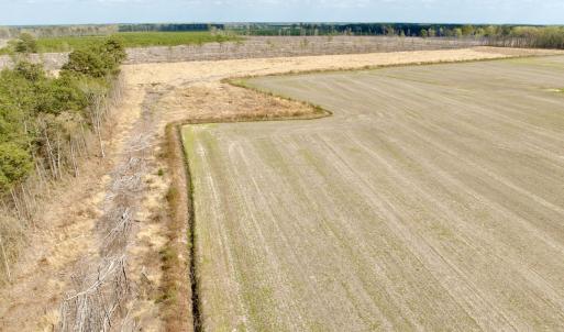 Photo #12 of Off Black Mingle Rd, Gates, NC 80.6 acres