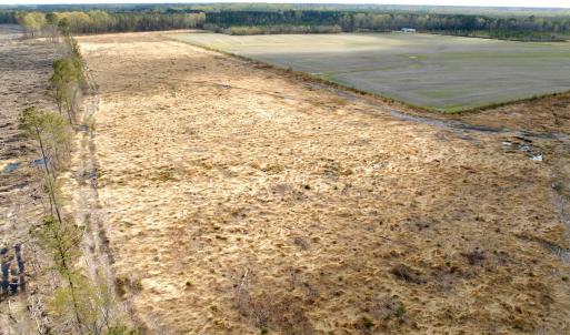 Photo #13 of Off Black Mingle Rd, Gates, NC 80.6 acres