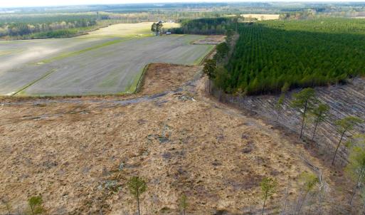 Photo #14 of Off Black Mingle Rd, Gates, NC 80.6 acres