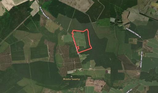 Photo #34 of Off Black Mingle Rd, Gates, NC 80.6 acres