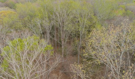 Photo #12 of Off Hilltop Lane, Smithfield, VA 19.1 acres