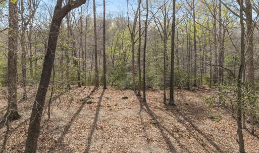 Photo #13 of Off Hilltop Lane, Smithfield, VA 19.1 acres
