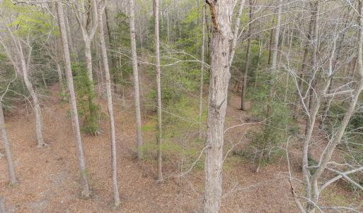 Photo #22 of Off Hilltop Lane, Smithfield, VA 19.1 acres