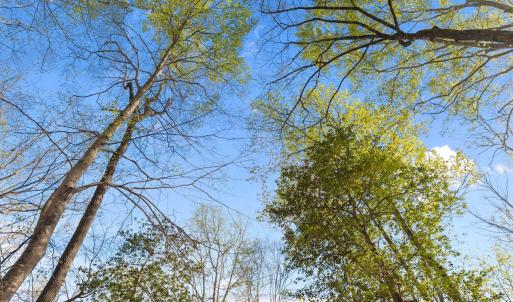 Photo #24 of Off Hilltop Lane, Smithfield, VA 19.1 acres