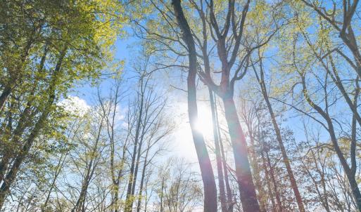 Photo #25 of Off Hilltop Lane, Smithfield, VA 19.1 acres